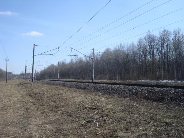 Коричинці з panoramio.com - Korychyntsi