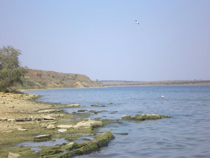 Широке з panoramio.com - Широкое