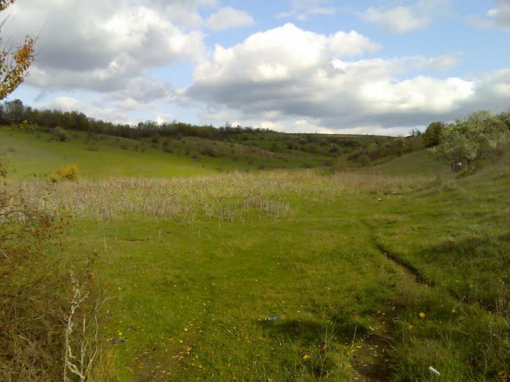 Фрунзівка з panoramio.com - Фрунзівка