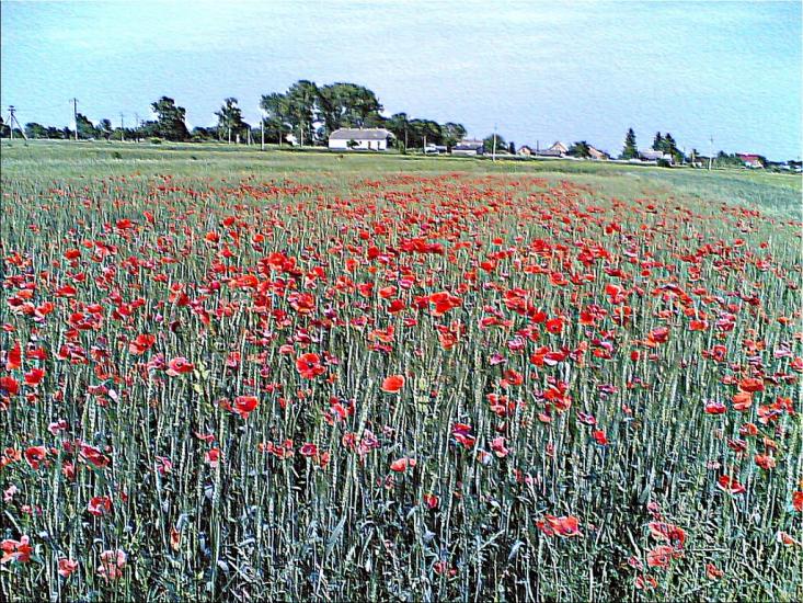 Лідава з panoramio.com - Лідава