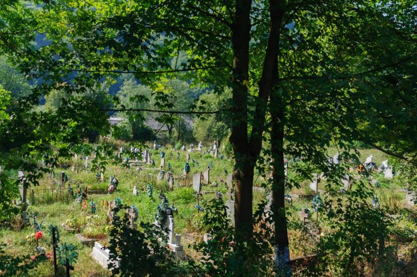 Княгиня з panoramio.com - Княгиня