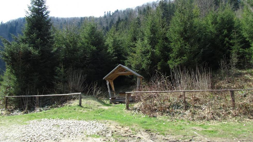 Новий Мізунь з panoramio.com - Novyy Mizun