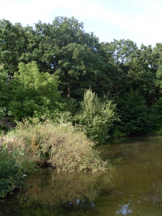 Велика Калинка з panoramio.com - Велика Калинка