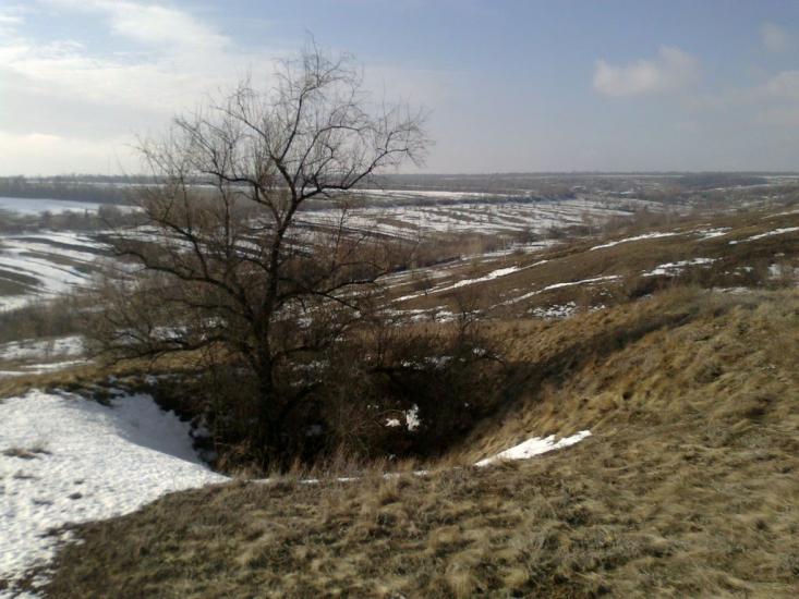 Зайцеве з panoramio.com - Зайцеве