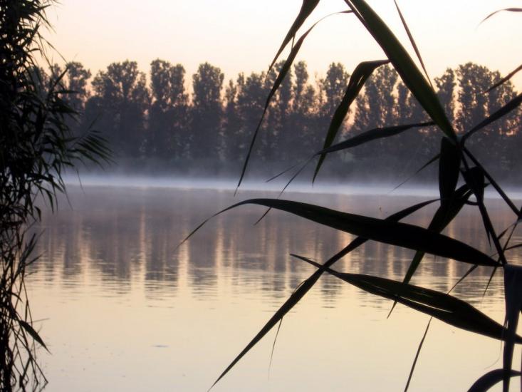 Карналіївка з panoramio.com - Карналіївка