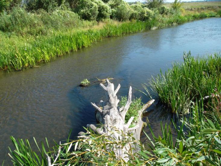 Ялцівка з panoramio.com - Ялцовка