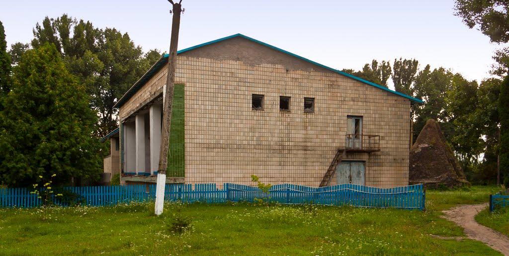 Березова Рудка з panoramio.com - Березовая Рудка