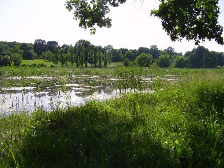 Іванківці з panoramio.com - Ivankivtsi