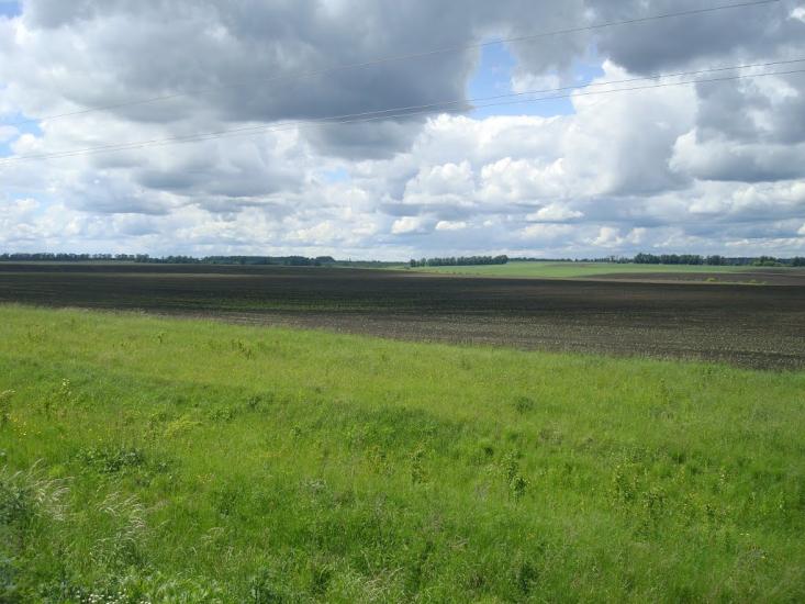 Ясенівка з panoramio.com - Ясеновка