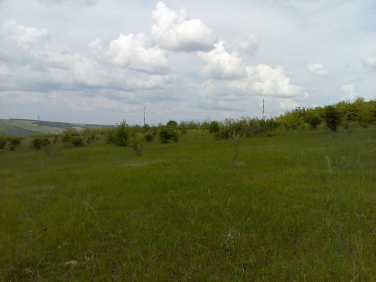 Фрунзівка з panoramio.com - Фрунзівка