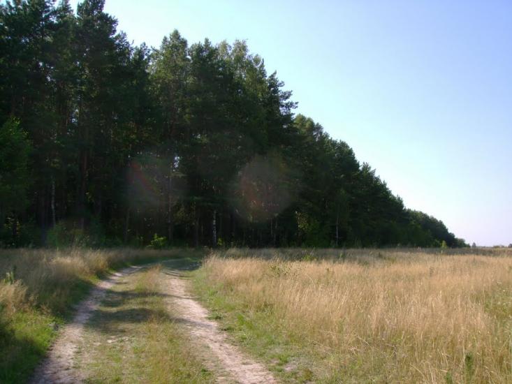 М'ясківка з panoramio.com - М'ясківка