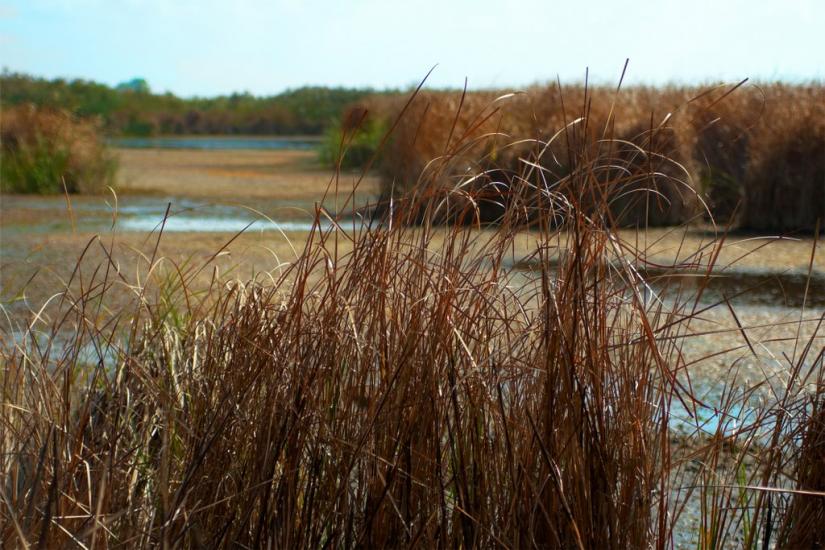 Орлівщина з panoramio.com - Орловщина