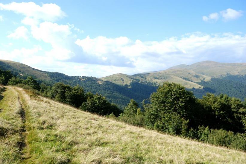 Кваси з panoramio.com - Квасы