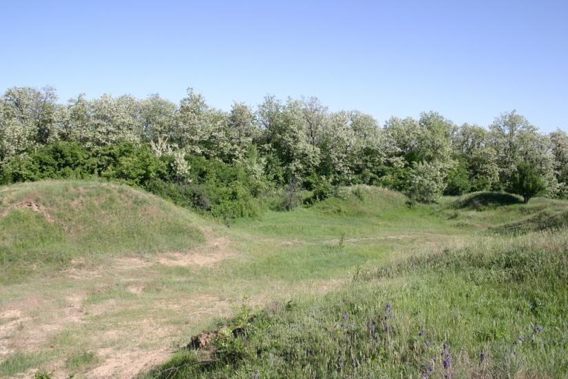 Золоте з panoramio.com - Золотое