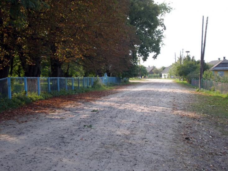 Облапи з panoramio.com - Oblapy