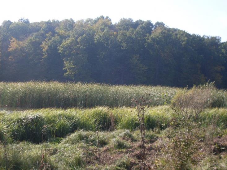 Зятківці з panoramio.com - Зятківці