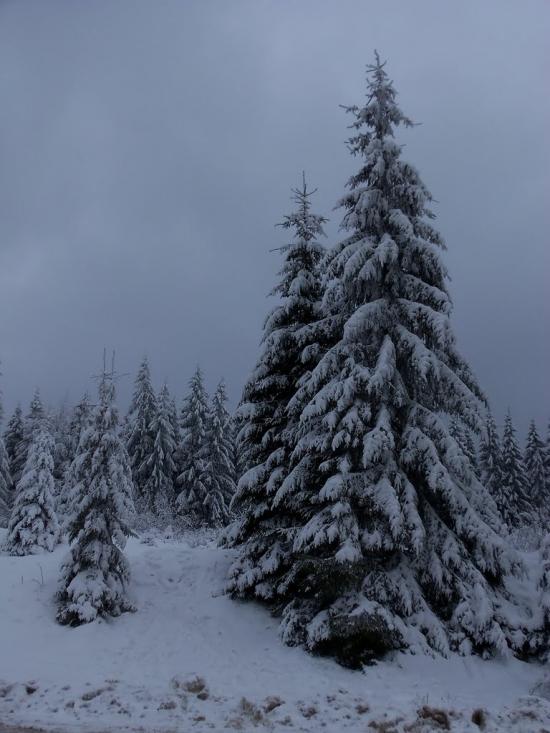 Вишків з panoramio.com - Вышков
