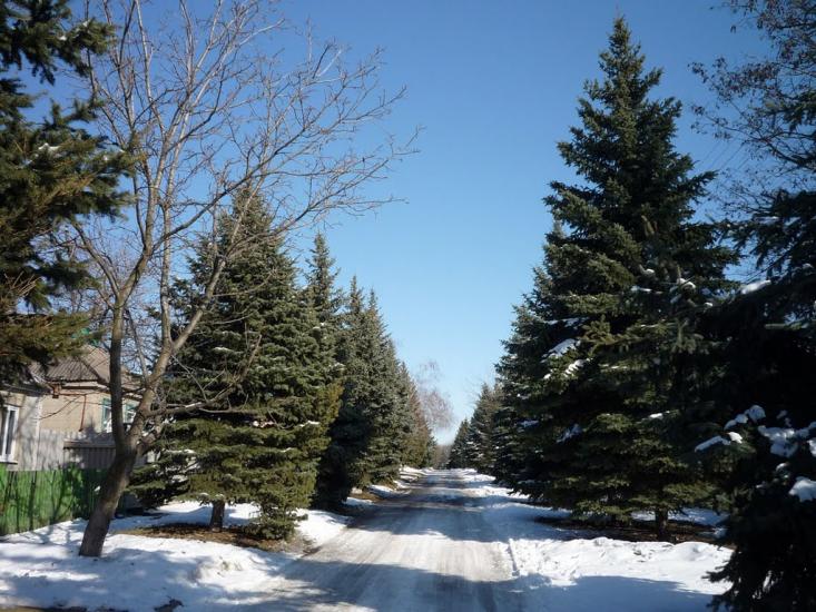 Амвросіївка з panoramio.com - Amvrosiyivka