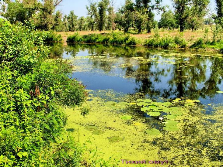 Миколаївка з panoramio.com - Миколаївка