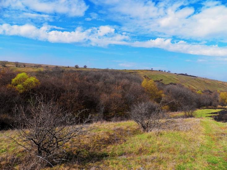 Юнокомунарівськ з panoramio.com - Юнокомунаровск