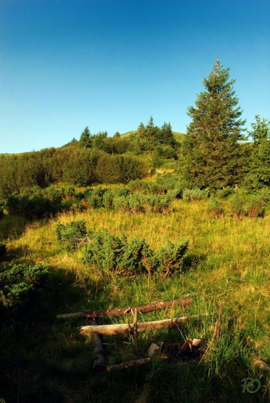 Бребоя з panoramio.com - Бребоя