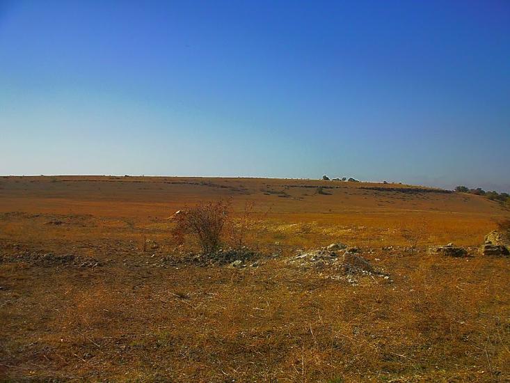 Каштани з panoramio.com - Каштани