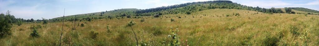 Новоукраїнка з panoramio.com - Новоукраїнка