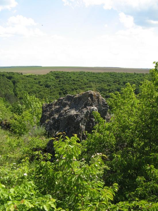 Гораївка з panoramio.com - Гораевка