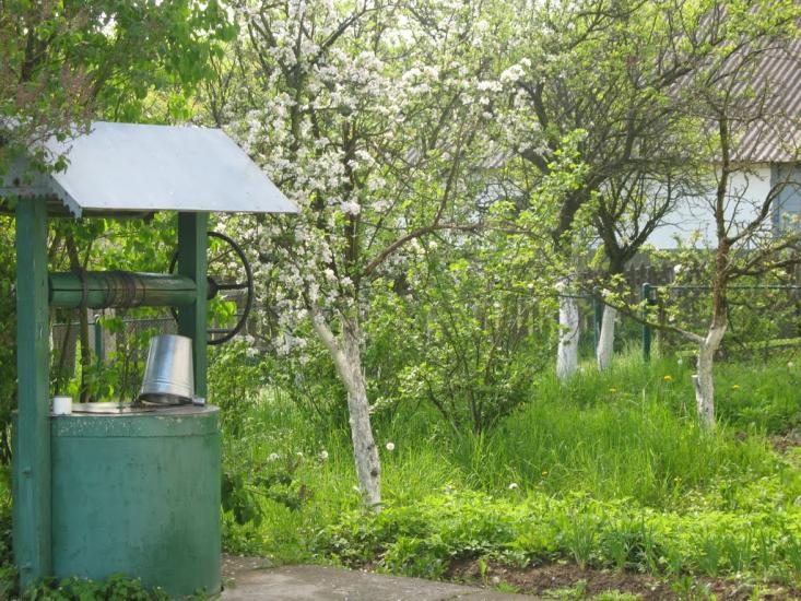 Рибне з panoramio.com - Рибне