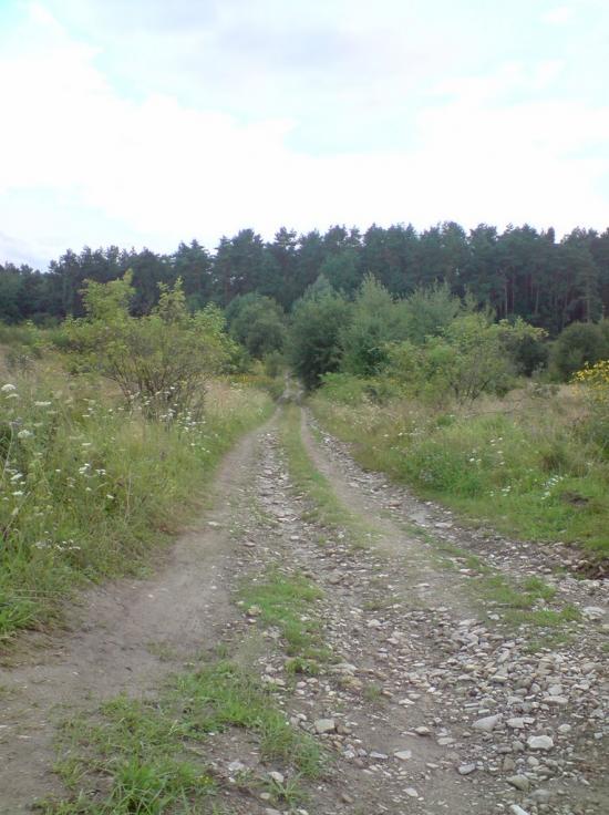 Болозів з panoramio.com - Болозів