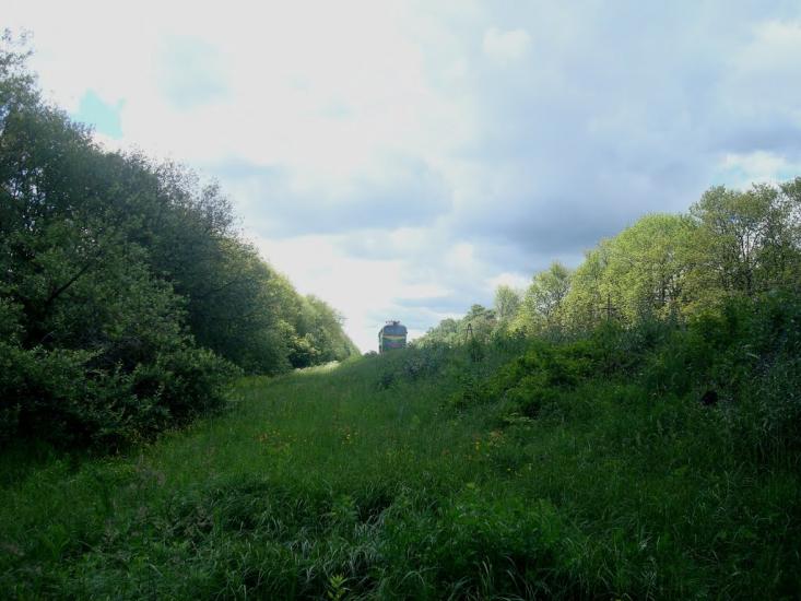 Балакири з panoramio.com - Балакири