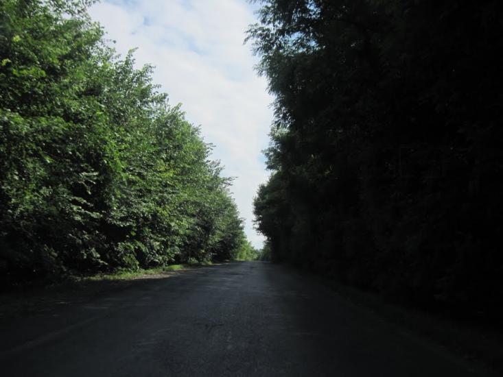 Яреськи з panoramio.com - Яреськи