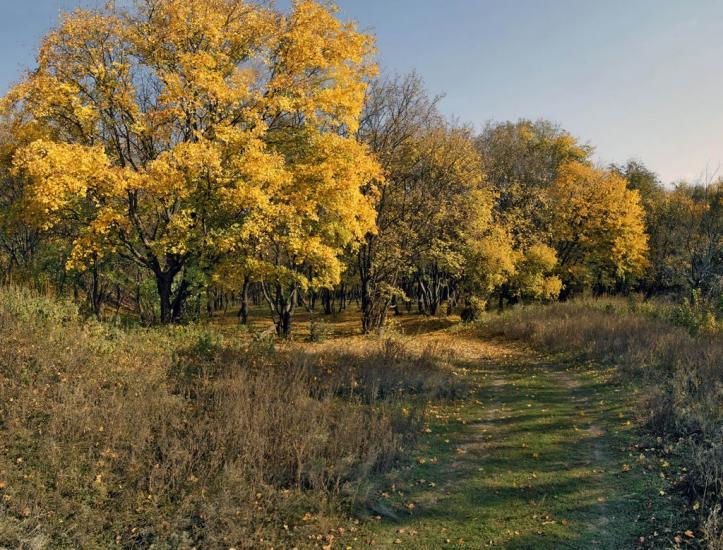 Черемшине з panoramio.com - Черемшино