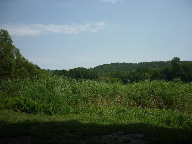 Юрківці з panoramio.com - Юрковцы