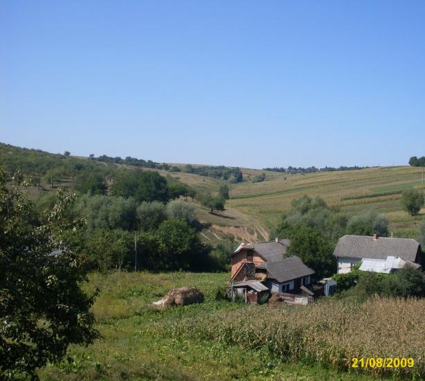 Тростянці з panoramio.com - Тростянцы