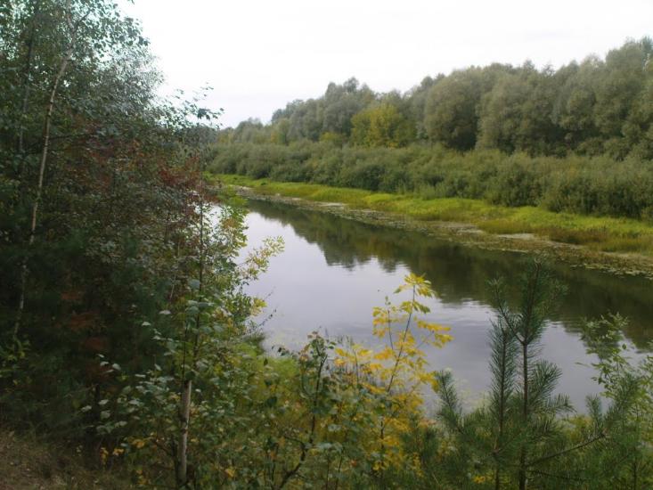 Снов'янка з panoramio.com - Сновянка