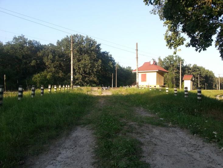 Княжичі з panoramio.com - Княжичи