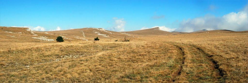 Підгородне з panoramio.com - Подгороднее