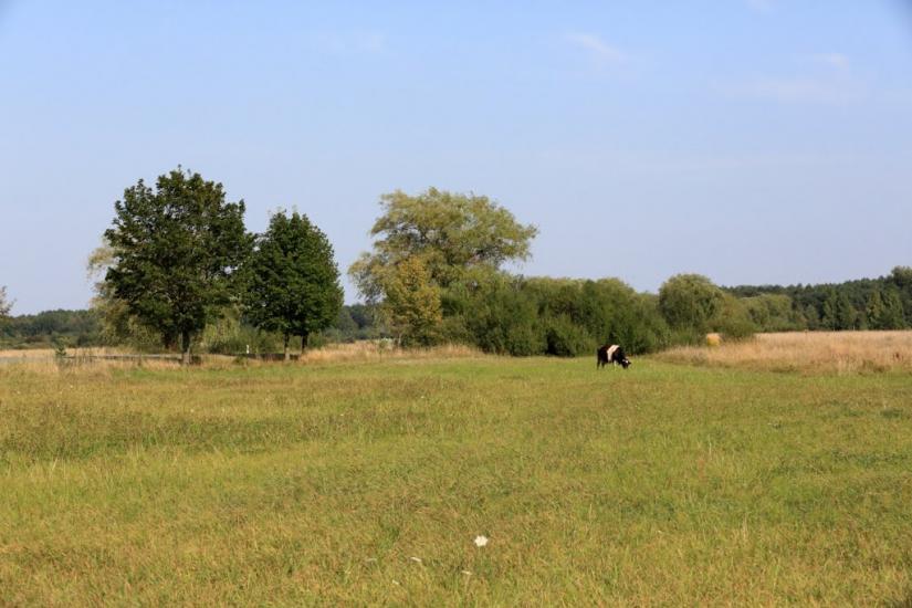 Седлище з panoramio.com - Седлище