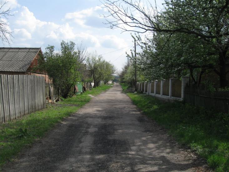 Пискунівка з panoramio.com - Pyskunivka