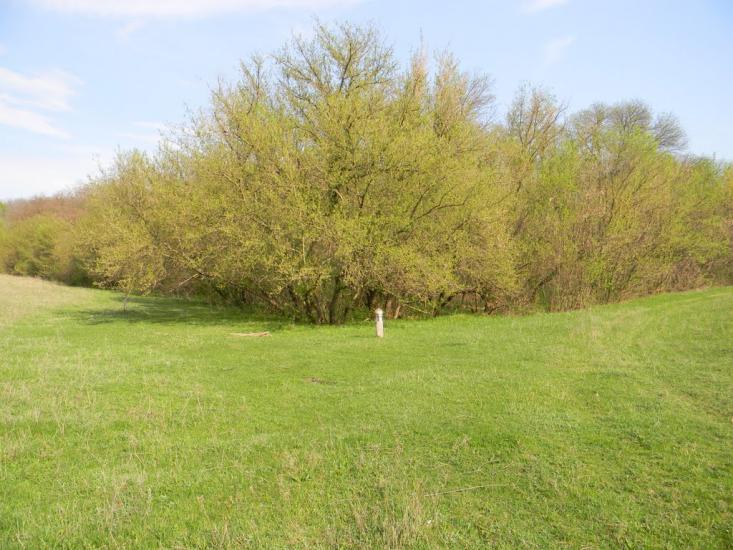 Івангород з panoramio.com - Ивангород