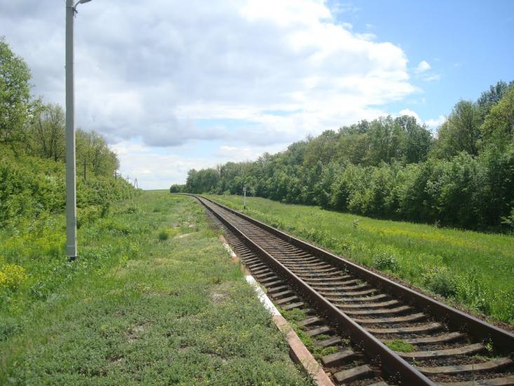 Балакири з panoramio.com - Балакири