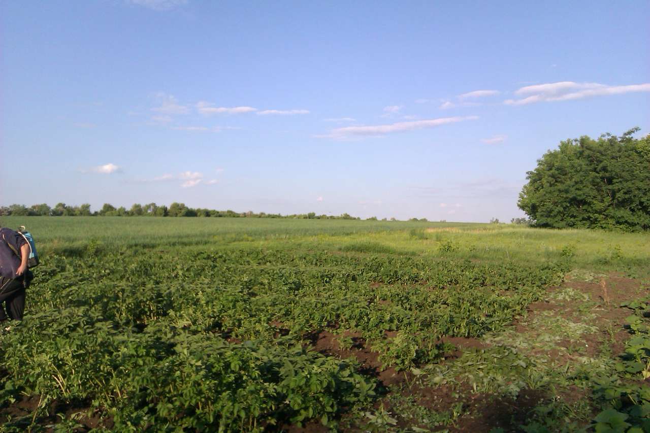 РІДНЕ - Коломийцево Озеро