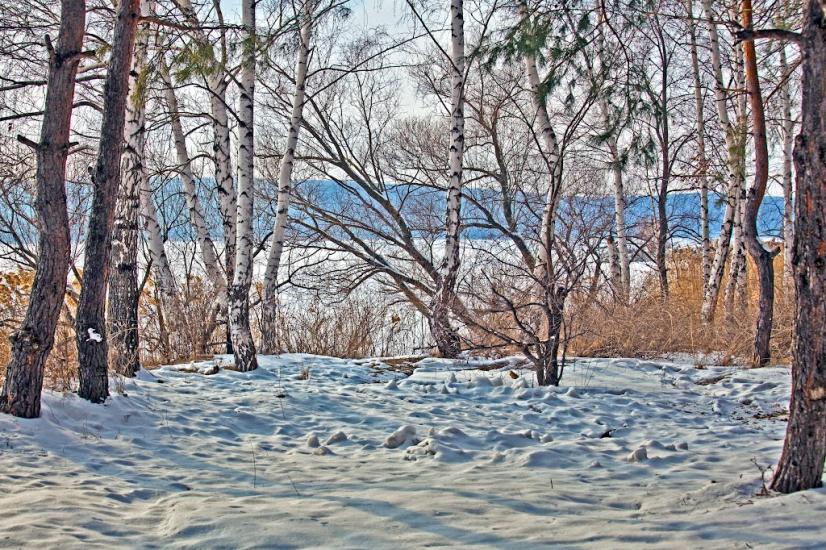 Хотімля з panoramio.com - Хотімля