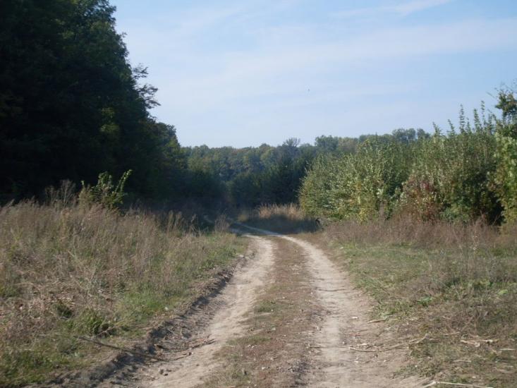 Зятківці з panoramio.com - Зятківці