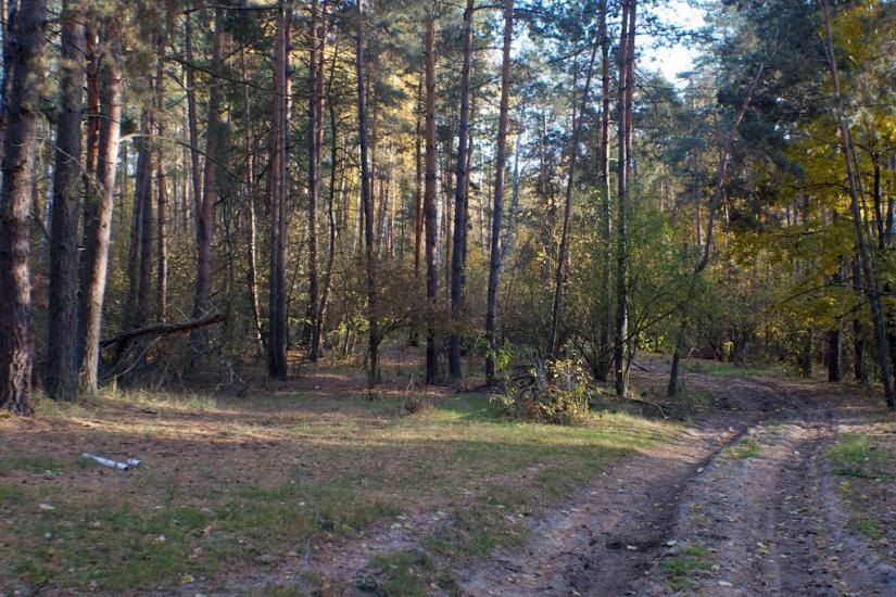 Гута-Межигірська з panoramio.com - Гута-Межигорская