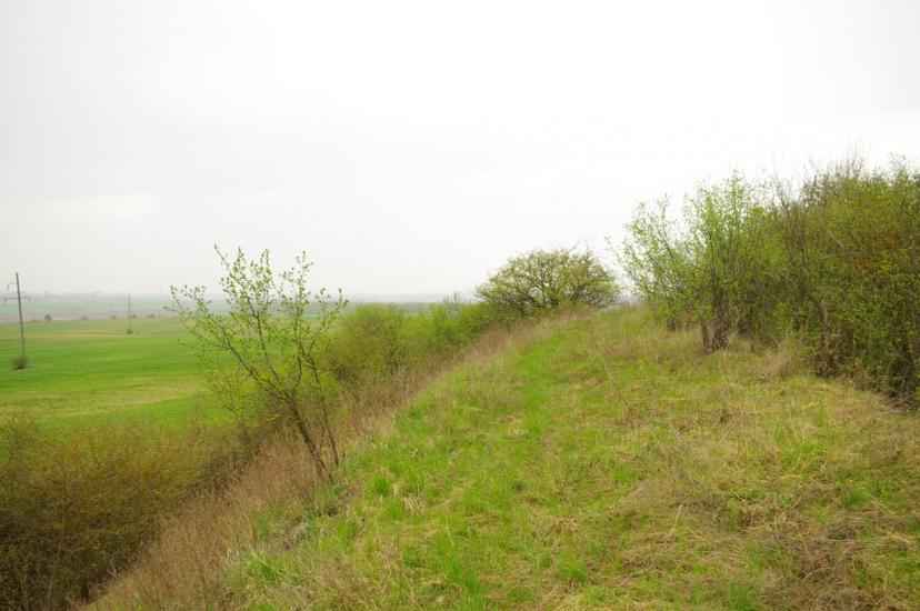 Кустин з panoramio.com - Кустин