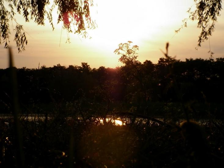 Козацьке з panoramio.com - Козацьке