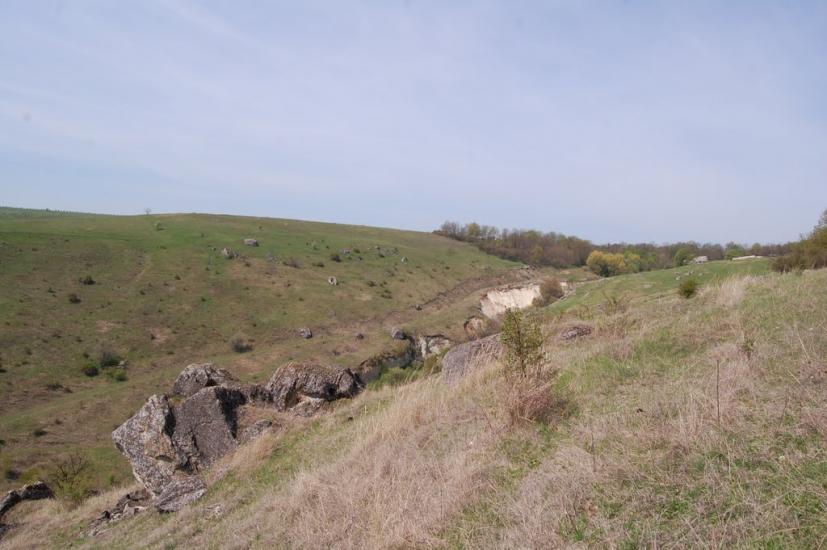 Василівка з panoramio.com - Василівка