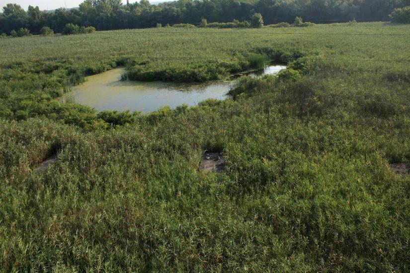Придніпровське з panoramio.com - Придніпровське